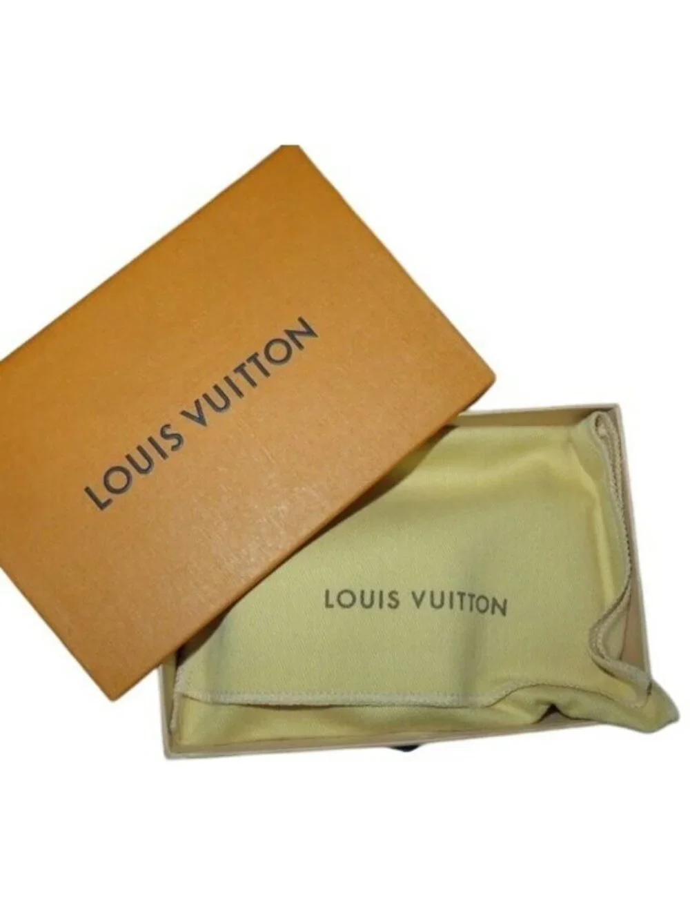 Louis Vuitton authentic louis